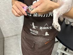 -瑞鹏宠物医院·骨外科·心肾科·肿瘤科(九亭店)
