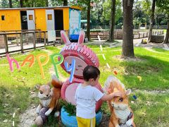 -上海长兴岛郊野公园