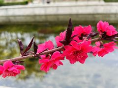 -元大都城垣遗址公园