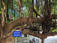 -大嶝英雄三岛战地观光园