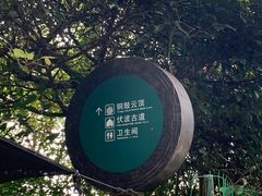 -海南铜鼓岭景区