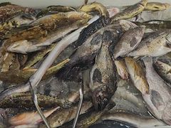 -北方饺子王·海肠捞饭·海鲜锅(山大店)