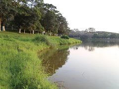 -东莞植物园