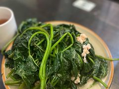 虾仁地瓜叶-堂宴·老厦门私房菜(1988仙岳总店)