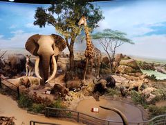 -陕西自然博物馆