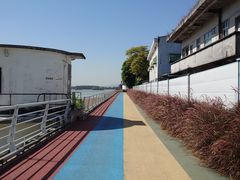 -九江双蒸博物馆