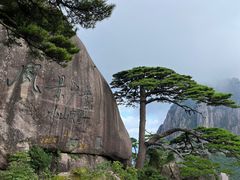 -黄山风景区