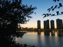 景点-长白岛森林公园