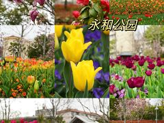 -静安雕塑公园