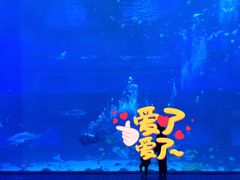 -南昌融创海世界