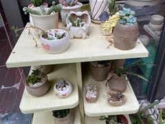 -馆陶手作坊DIY·陶艺·石塑粘土·石膏娃娃(车陂店)