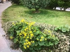 -上海当代艺术博物馆