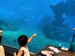 -海棠湾洲际-涛·海底餐厅·美人鱼·自助餐·海底隧道