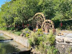 -广州白江湖森林公园