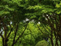 -重庆中央公园(渝北区)