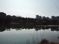 -新江湾城公园
