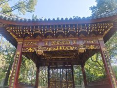 -汇龙潭
