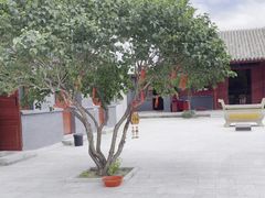 -广胜寺塔