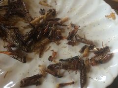 -民食香·腊排骨野生菌美食(木府店)