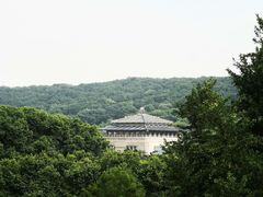-武汉大学-樱园