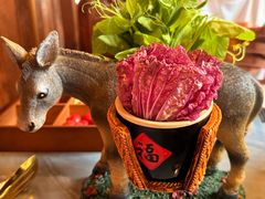 -慢丽江·云南野生菌土鸡锅(付家庄店)