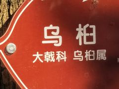 -秋霞圃