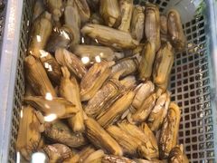 -鑫悦楼煎蟹·16年海鲜大排档
