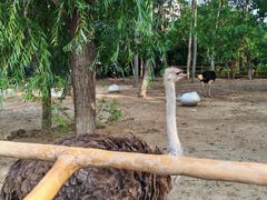 -大连森林动物园