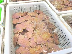 -先锋海鲜市场
