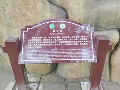 -缙云山景区
