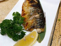 烤青花鱼-东京屋(武定路店)