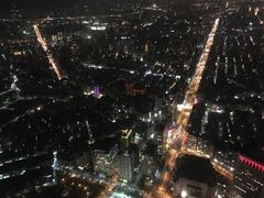 -顶鲜101美食美景餐厅