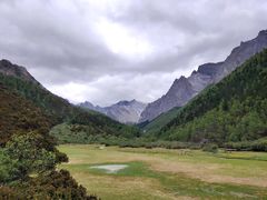 -稻城亚丁景区-冲古草甸