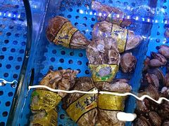 -晶渔坊·海鲜私房菜(东夷小镇店)