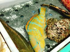 -海儀美食楼(湾仔海鲜街店)