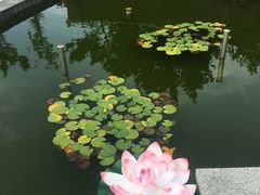 -威海天沐温泉度假区