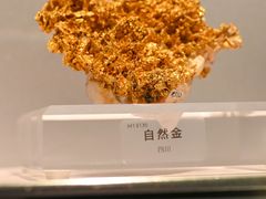 -中国地质博物馆