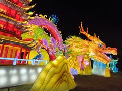 -武汉园博园(武汉自然博物馆)