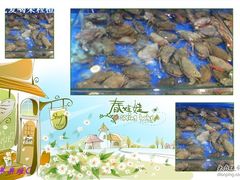 -神洲四海大酒楼(王府井澳门中心店)