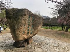 -香雪海