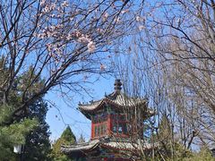 -宣武艺园