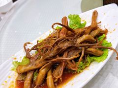 -双井轩(双井店)