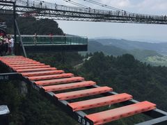 -梦幻奥陶纪景区