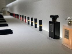 -紫御国际抗衰ZOE ANTI AGING