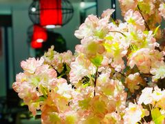 -尚尚仙·酸汤猪手·猪肚鸡火锅(华联万柳购物中心店)