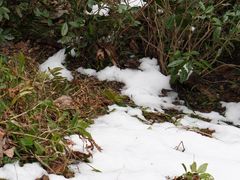 -东天目山风景区