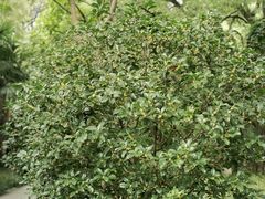 -徐家汇源景区-衡山公园