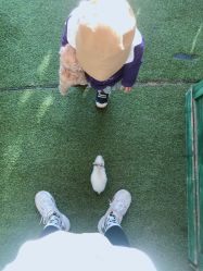 -萌宠亲子动物乐园(槐房万达店)