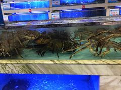 -青石桥市场北1-27号