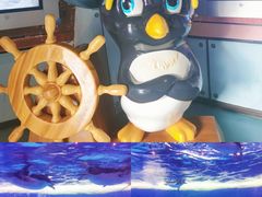 -海合安成都极地海洋公园